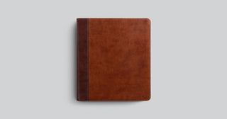 ESV Journaling Study Bible (TruTone, Brown/Chestnut, Timeless Design)