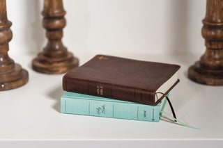 NIV, Journal the Word Bible (Perfect for Note-Taking), Double-Column, Cloth over Board, Teal, Red Letter, Comfort Print: Reflect, Take Notes, or Create Art Next to Your Favorite Verses Hardcover