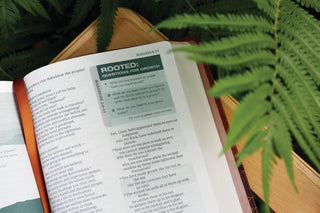 Rooted: The NIV Bible for Men, Leathersoft, Brown, Comfort Print