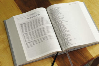 The Jesus Bible, NIV Edition, Cloth Over Board, Gray Linen, Comfort Print