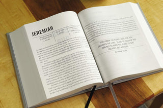 The Jesus Bible, NIV Edition, Cloth Over Board, Gray Linen, Comfort Print