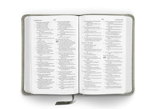 ESV Compact Bible (TruTone, Stone, Branch Design)