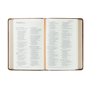 NLT Compact Bible: Aurora Theme